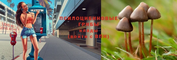mdpv Аркадак
