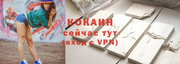 шишки Армянск
