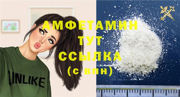 шишки Армянск