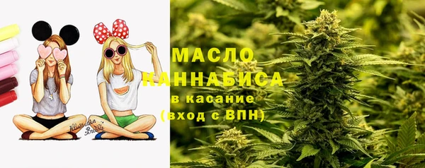 шишки Армянск