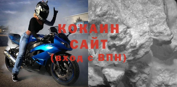 шишки Армянск